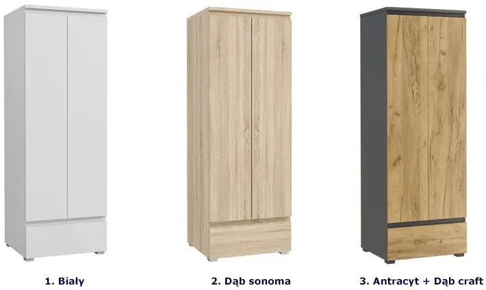 Dwudrzwiowa szafa z gładkim frontem antracyt + dąb craft B5-A38