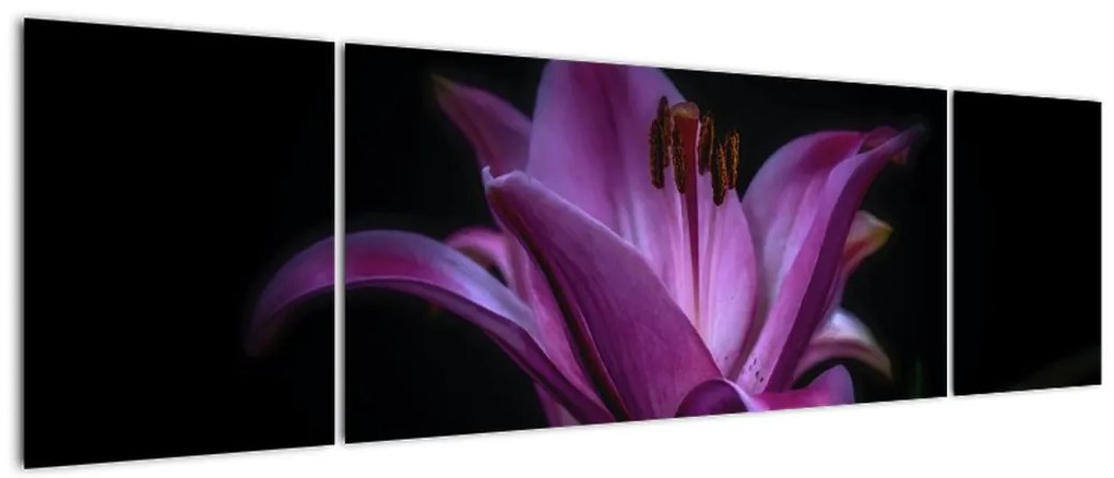 Obraz lilii (170x50 cm)