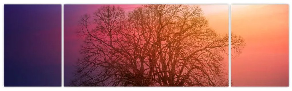 Obraz drzew we mgle (170x50 cm)