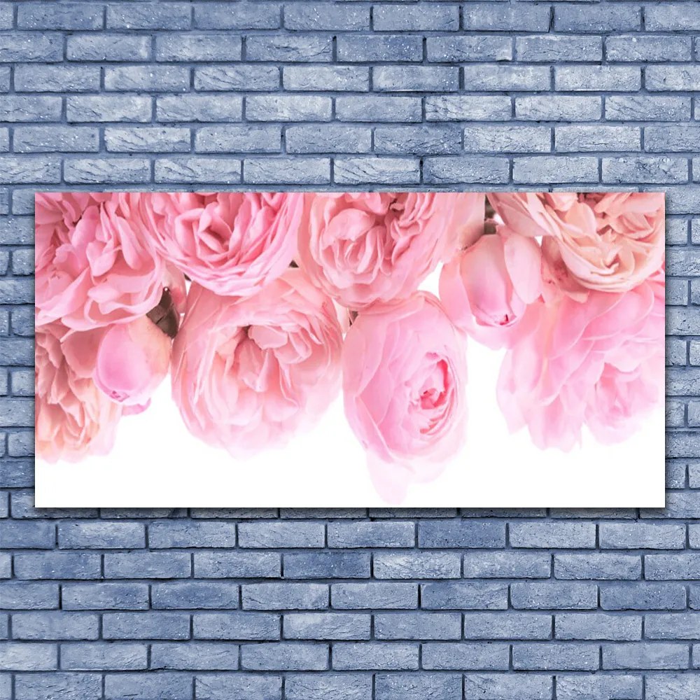 Fotoobraz na płótnie Aksamitne Róże w Ogrodzie