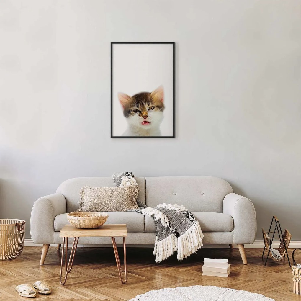 Plakat Zirytowany kot 60x90 cm z ramą czarną bez marginesu ARTGEIST B