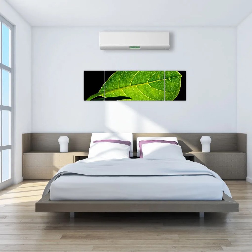 Obraz - zielony liść (170x50 cm)