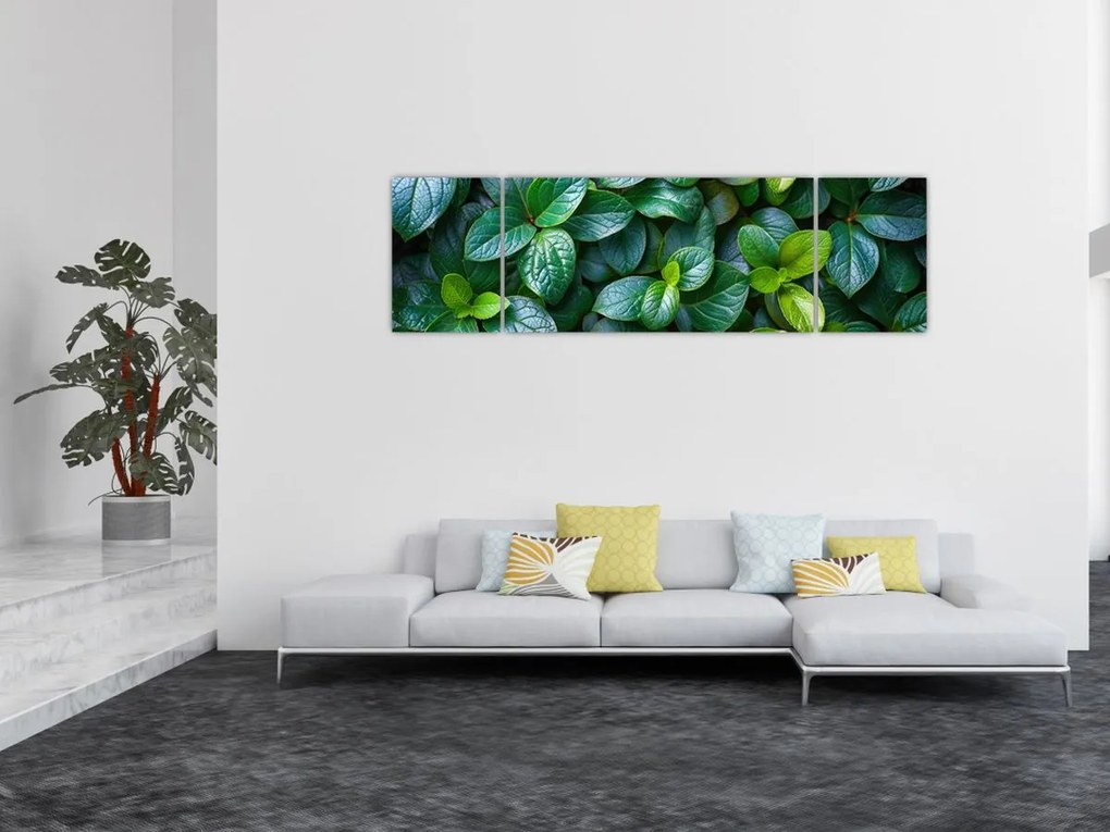 Obraz - Rośliny zielone (170x50 cm)