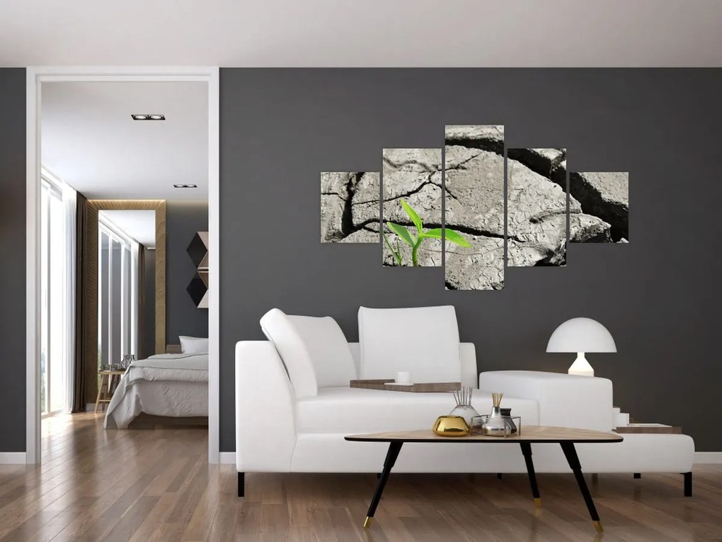 Obraz - Pęknięcia (125x70 cm)