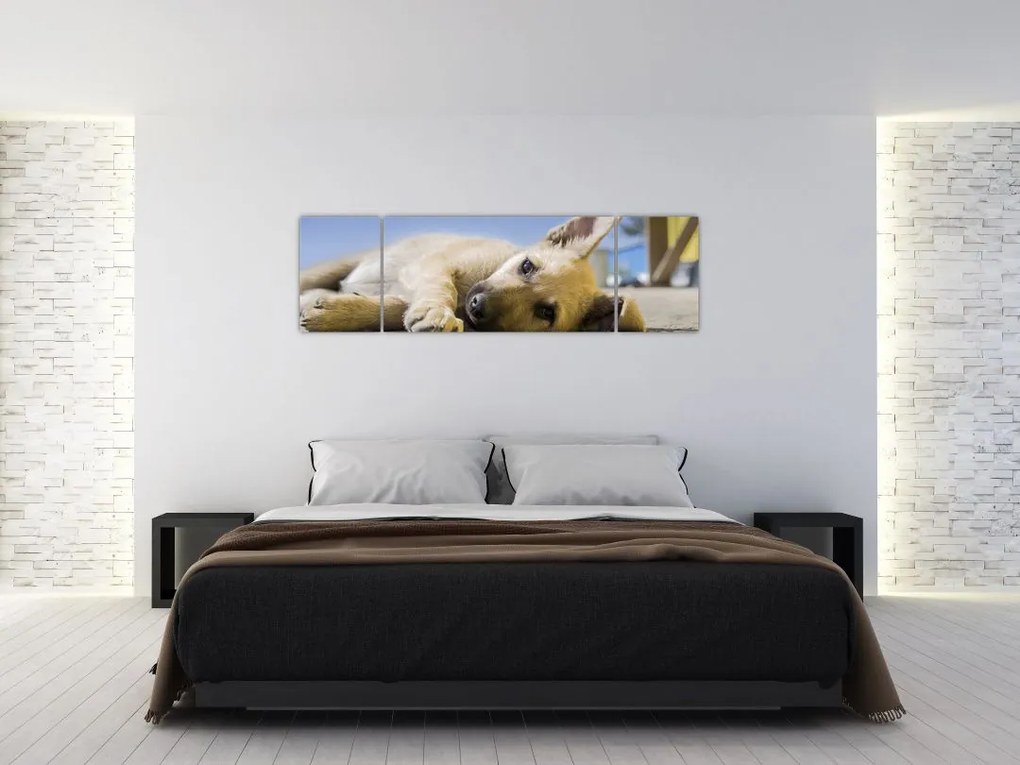 Obraz leżącego szczeniaka (170x50 cm)