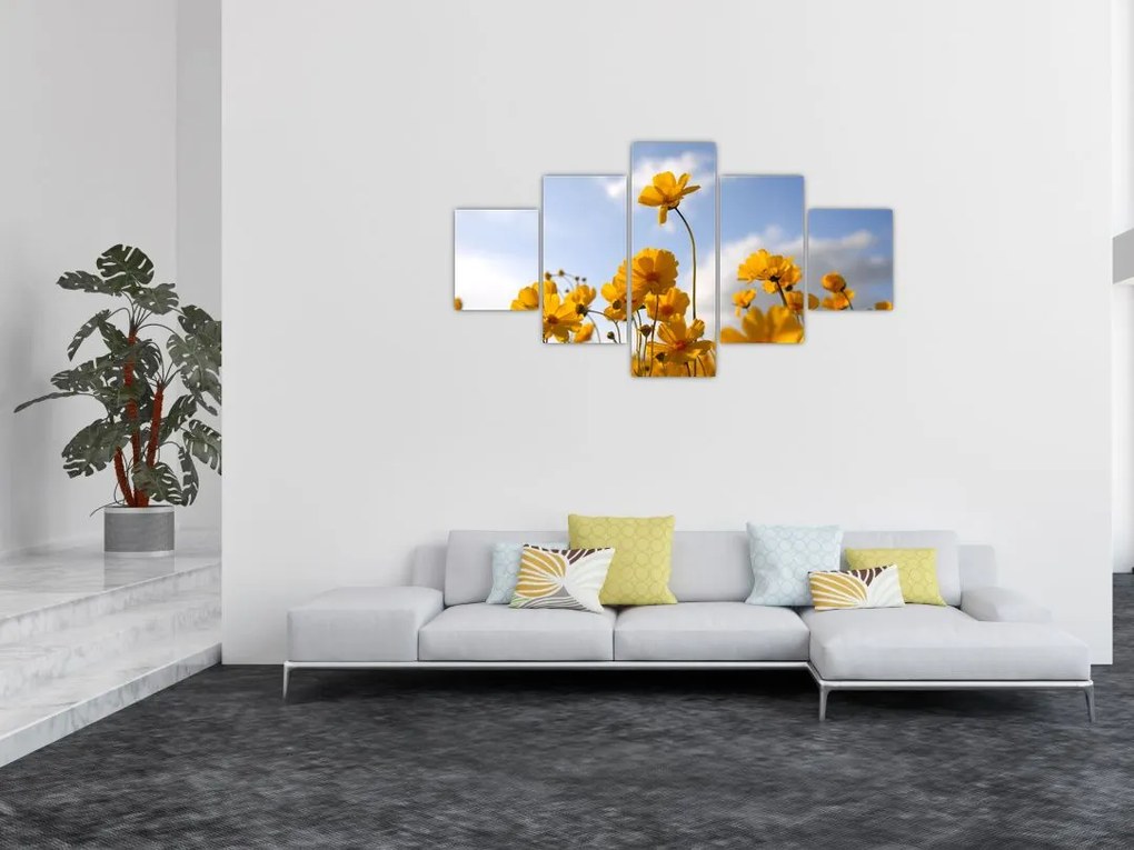Obraz pola z jasnożółtymi kwiatami (125x70 cm)