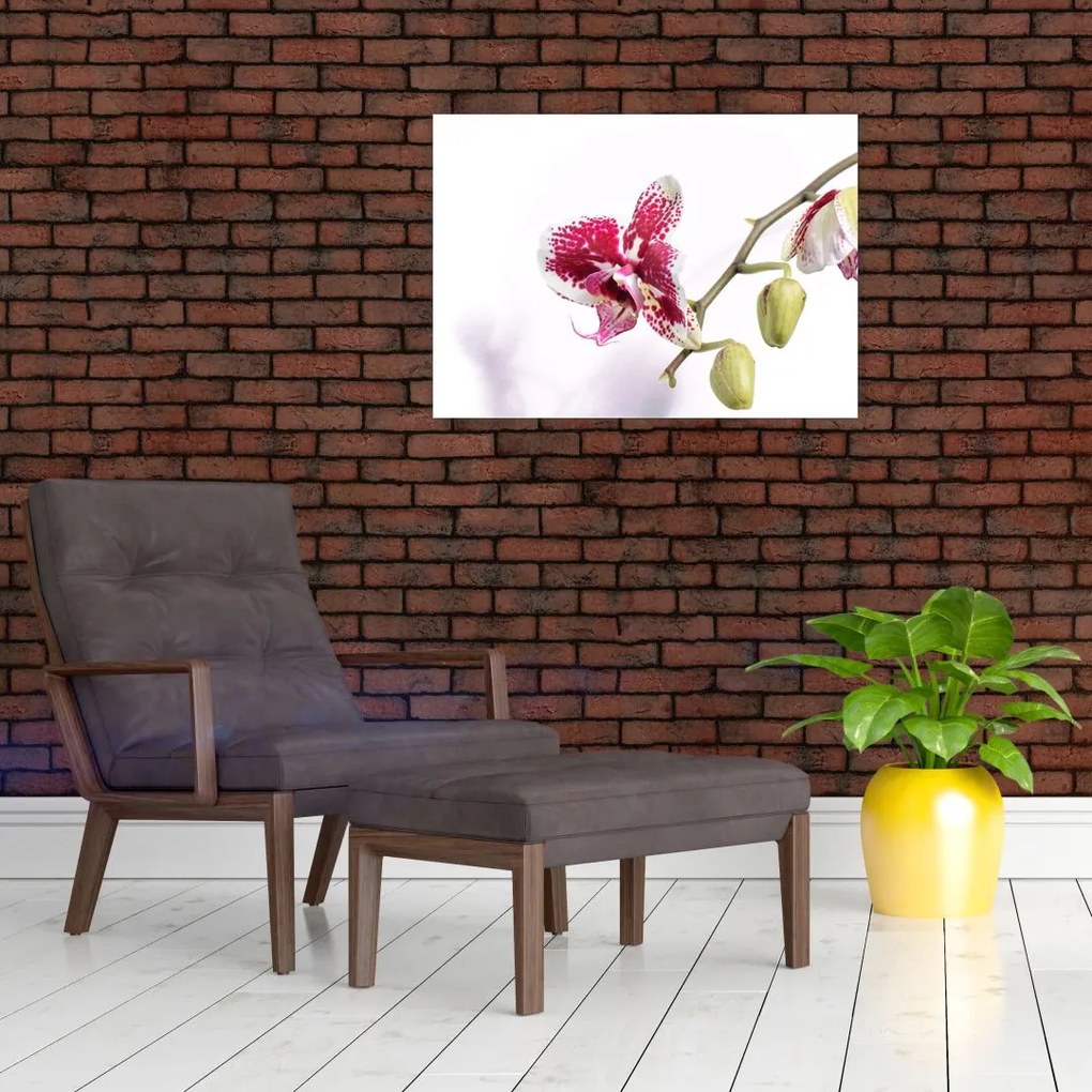 Obraz kwiatu orchidei (70x50 cm)