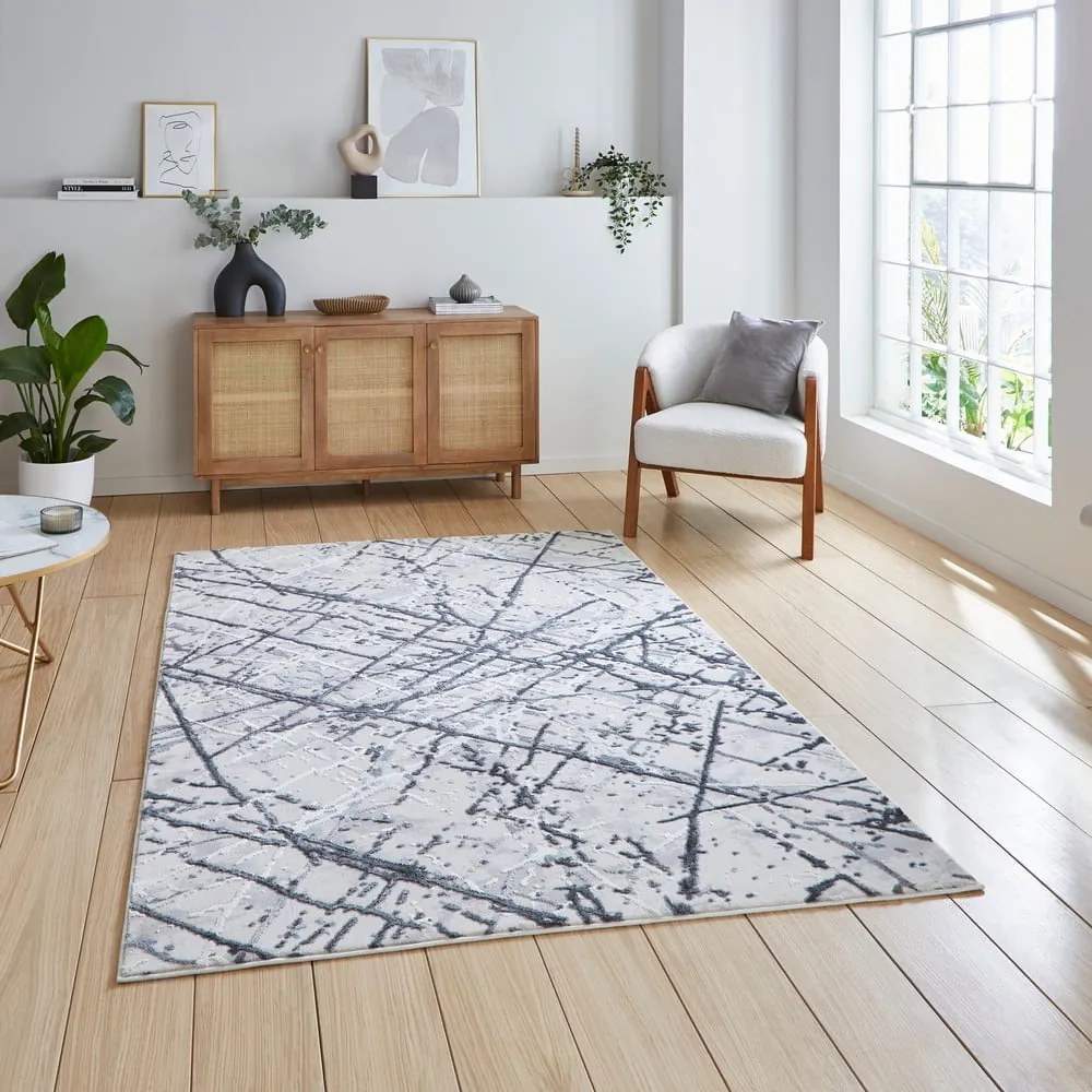 Jasnoszary dywan 160x230 cm Artemis – Think Rugs