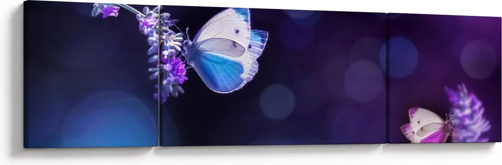 Obraz - Motyle na lawendie (170x50 cm)
