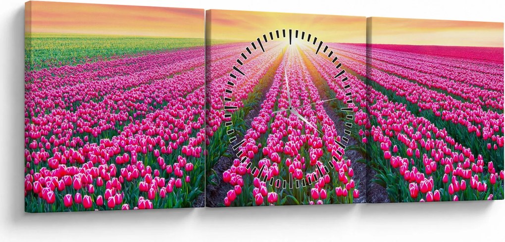 Obraz pole tulipanów ze słońcem (z zegarem) (90x30 cm)
