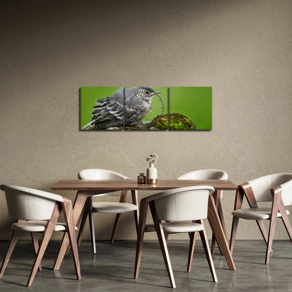 Obraz - Muchołówka (z zegarem) (90x30 cm)