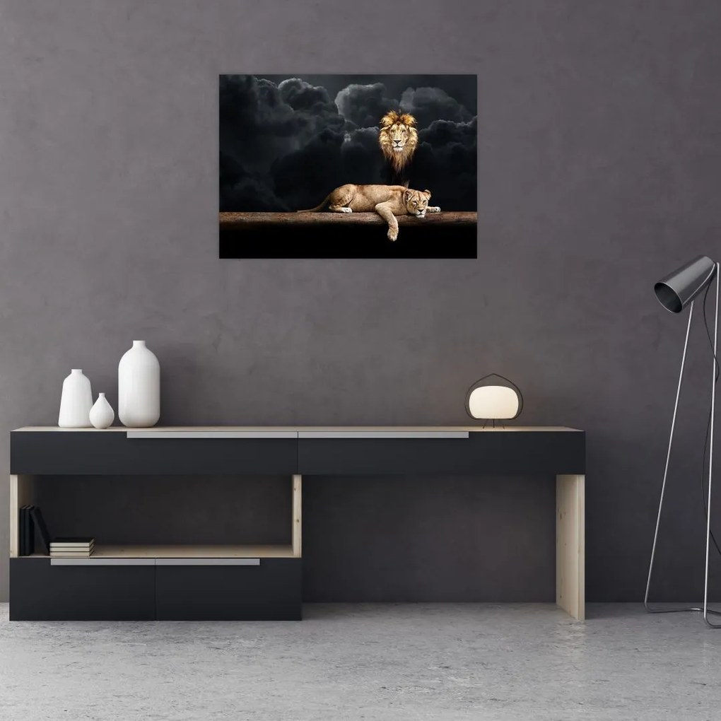 Obraz na szkle - Lew i lwica w chmurach (70x50 cm)