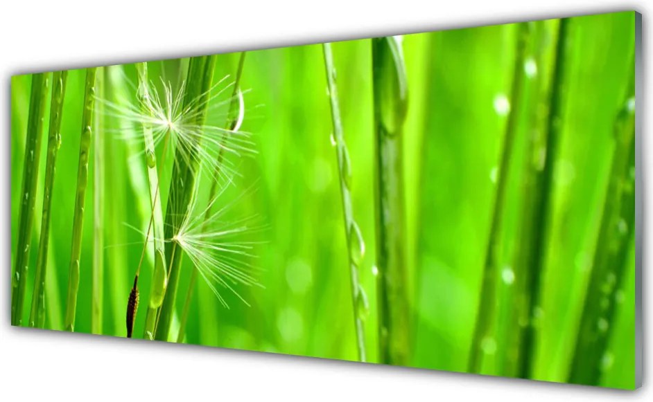 Szkło do Kuchni na Ścianę Naturalna Tekstura Trawy