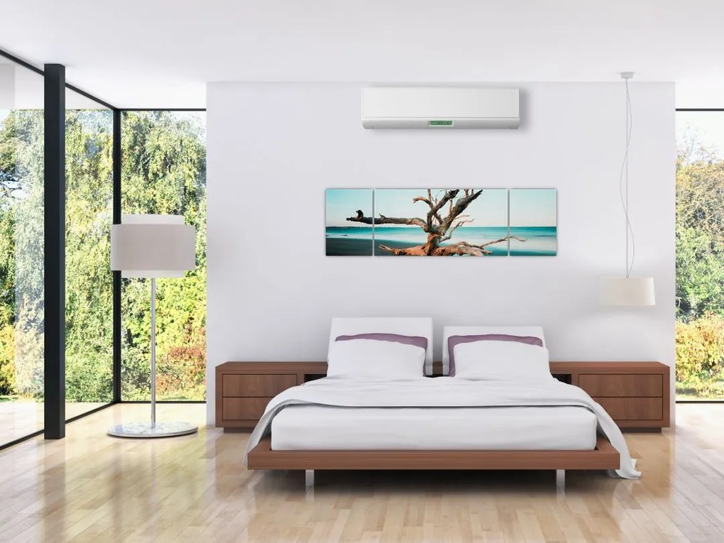Obraz -  Wyłowiono na plaży (170x50 cm)