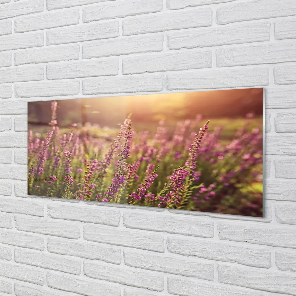 Szkło do Kuchni na Ścianę Rozległe Pole Wrzosów