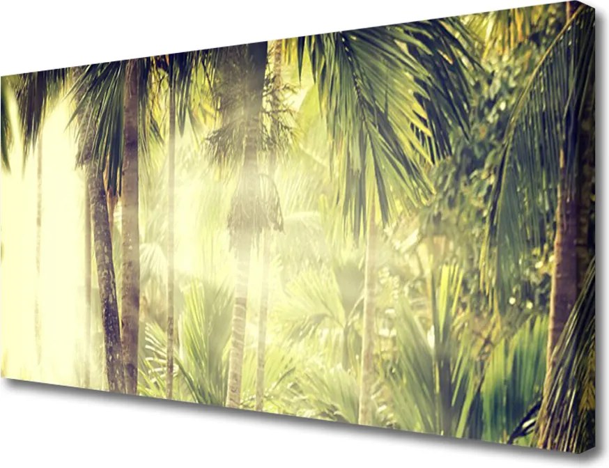 Obraz canvas Egzotyczna Gęstwina Tropików