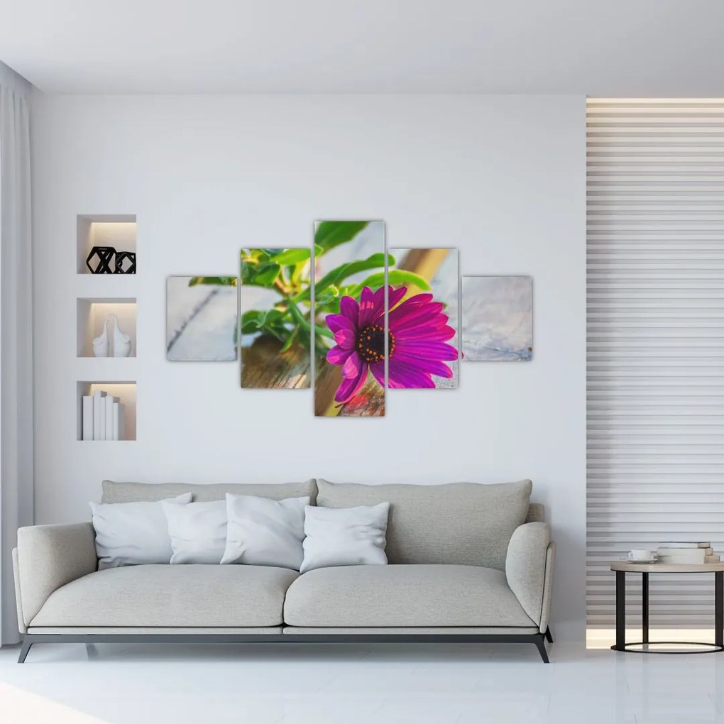 Obraz ciętego kwiatu (125x70 cm)
