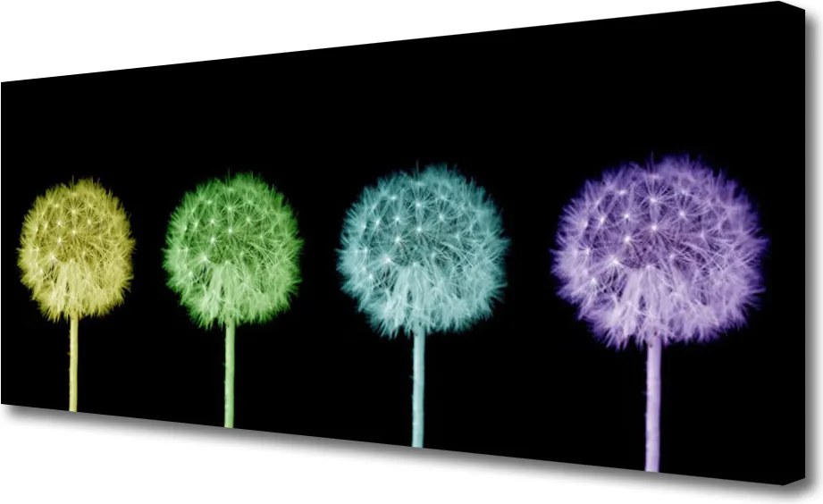 Obraz na płótnie Puszysta Kula Mniszka