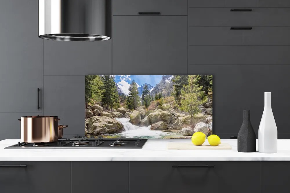 Panel Szklany Dziki Potok w Górskim Lesie