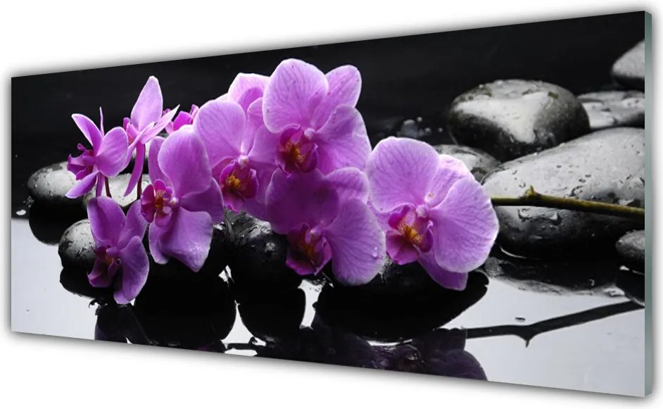 Panel Szklany Harmonijny Kwiat Na Kamieniach
