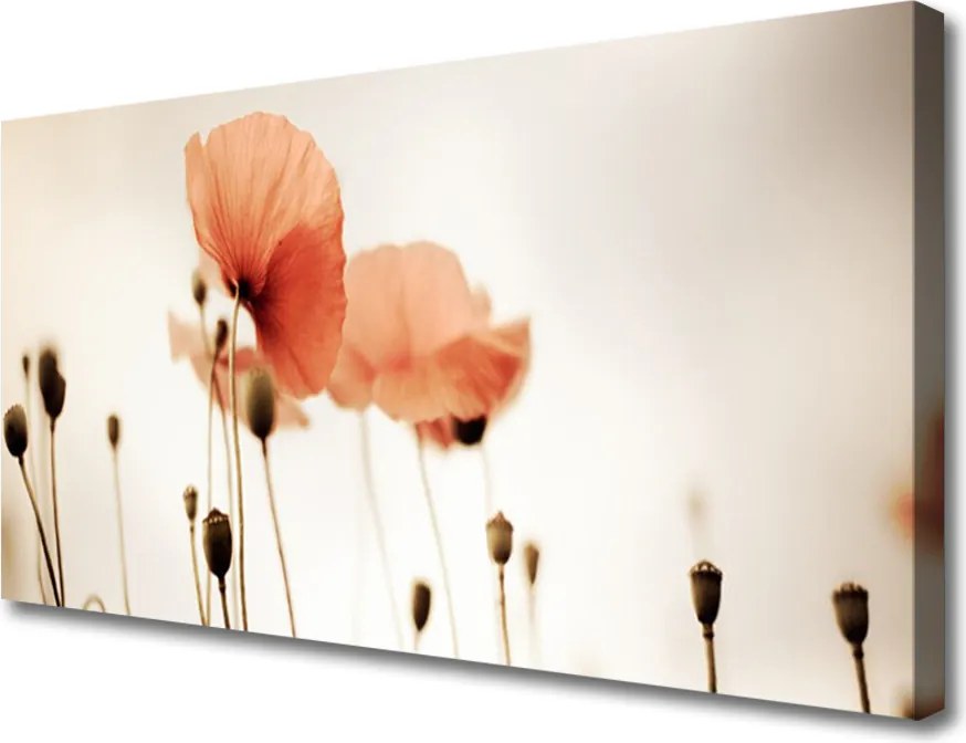 Obraz canvas Klasyczne Czerwone Maki