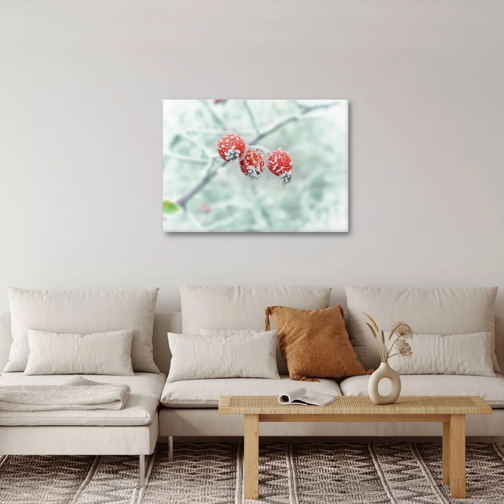 Obraz mrożonych owoców dzikiej róży (70x50 cm)