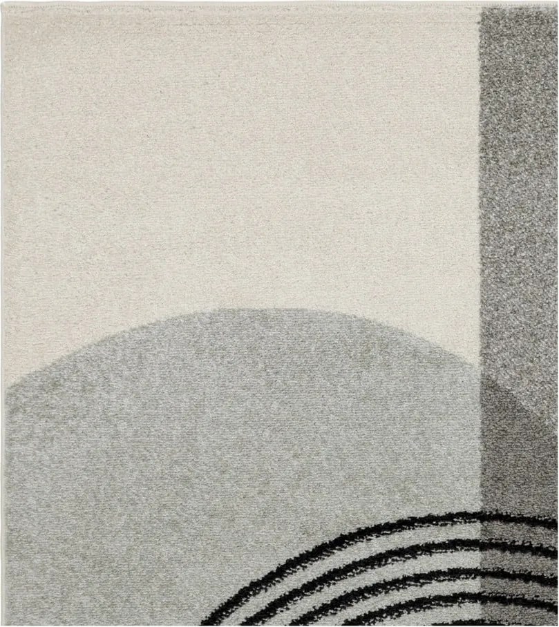 Dywan szary 230x160 cm Muse - Asiatic Carpets