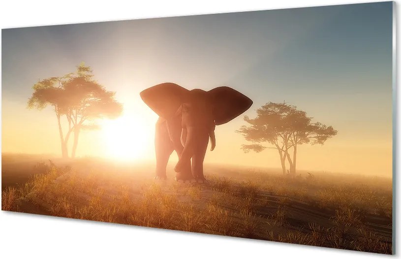 Panel szklany do Kuchni Słoń o Wschodzie Słońca na Sawannie