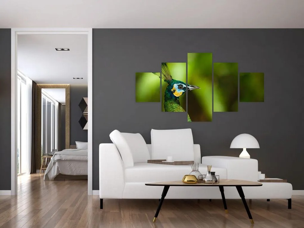 Obraz pawia (125x70 cm)