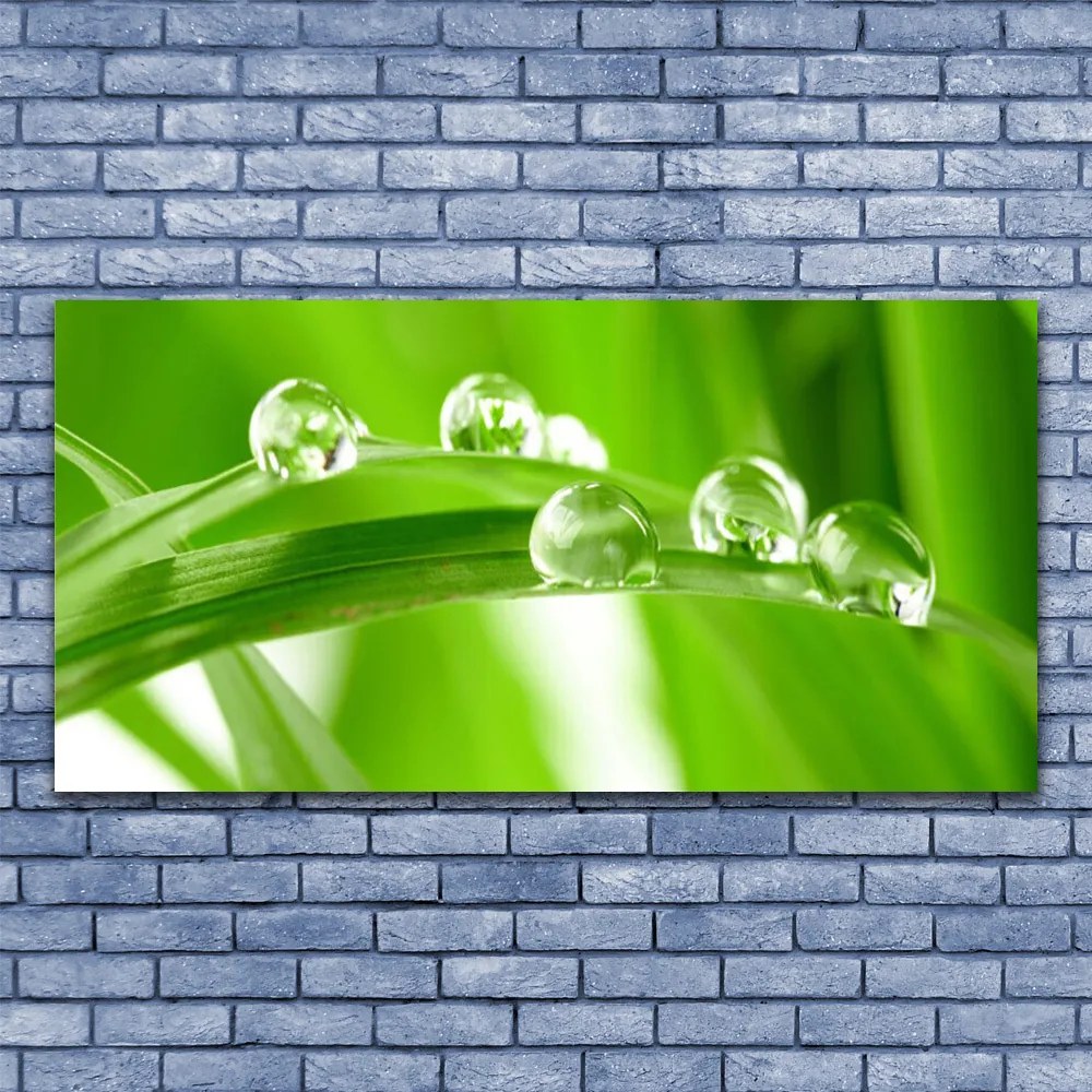 Obraz drukowany na płótnie Tropikalna Flora Liściasta