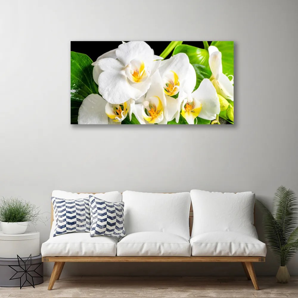 Obraz canvas Królewska Orchidea w Rozkwicie