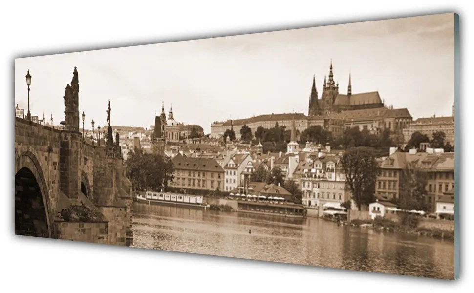 Obraz Akrylowy Praga Most Krajobraz