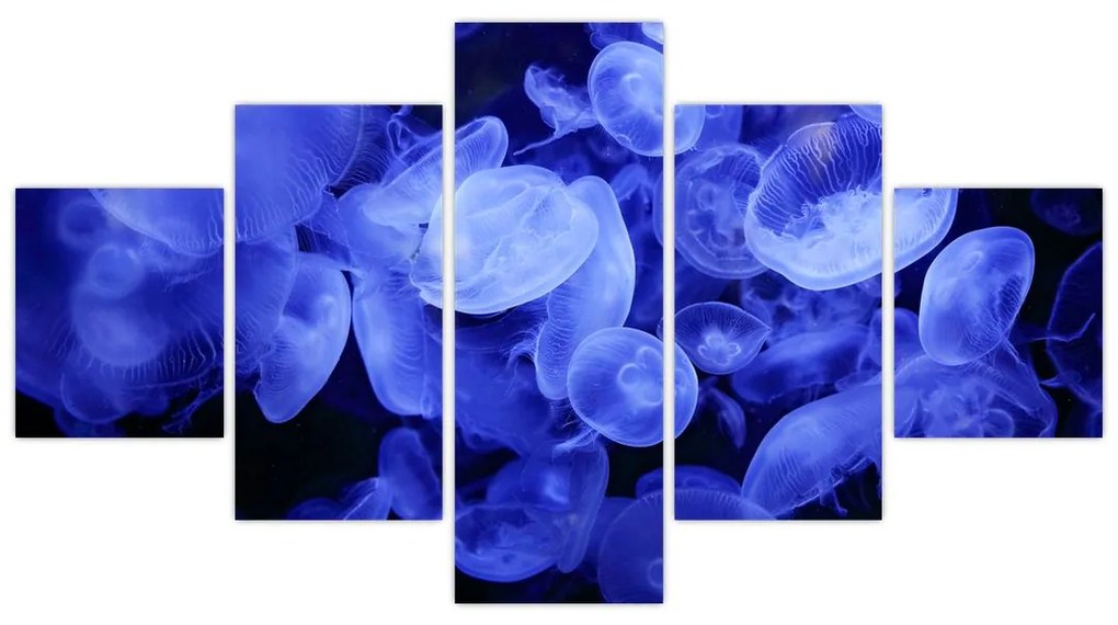 Obraz - Meduzy (125x70 cm)