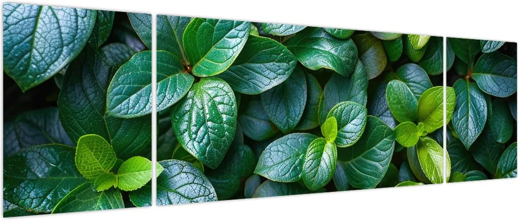 Obraz - Rośliny zielone (170x50 cm)