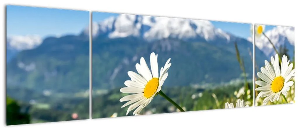 Obraz - Wiosna w Alpach (170x50 cm)