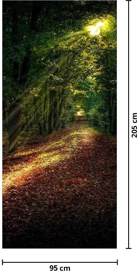 Fototapeta na drzwi - Leśna ścieżka (95x205cm)