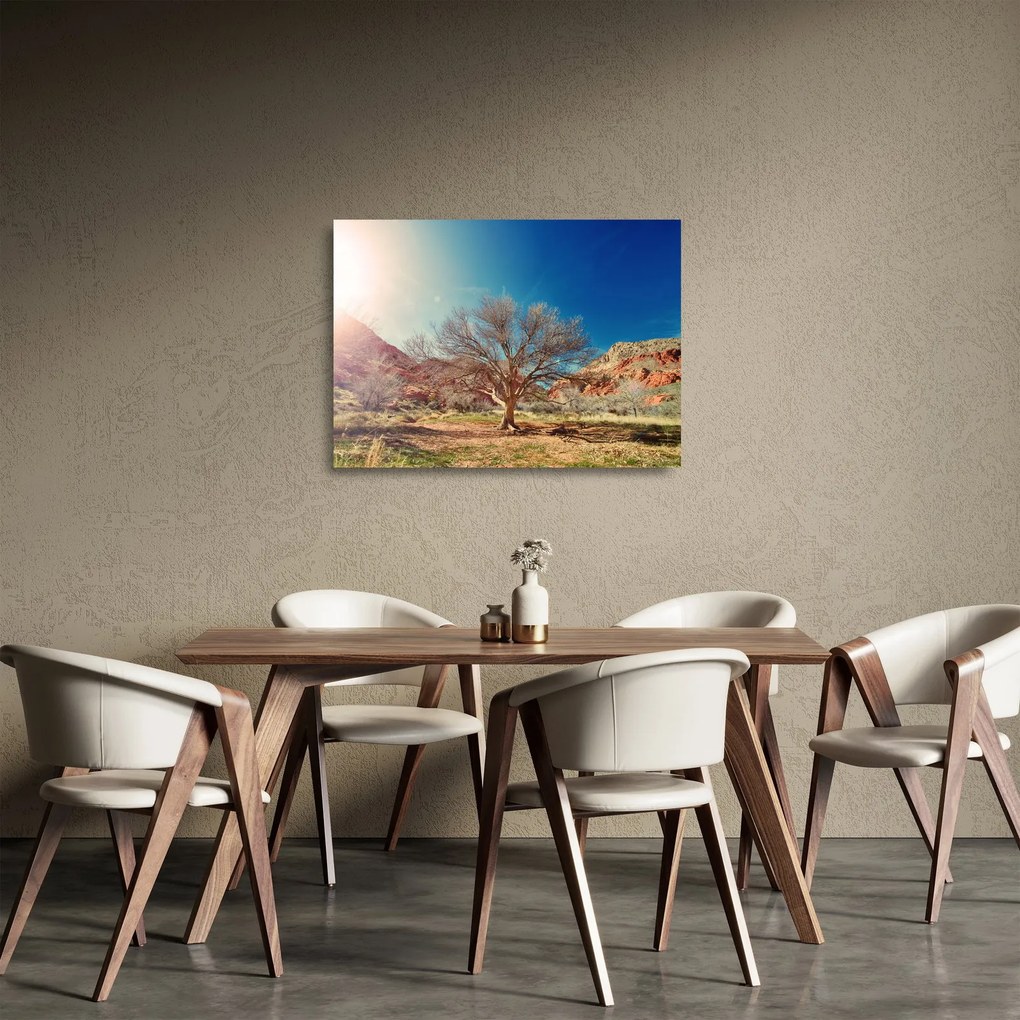Obraz na szkle drzewa na pustyni (70x50 cm)