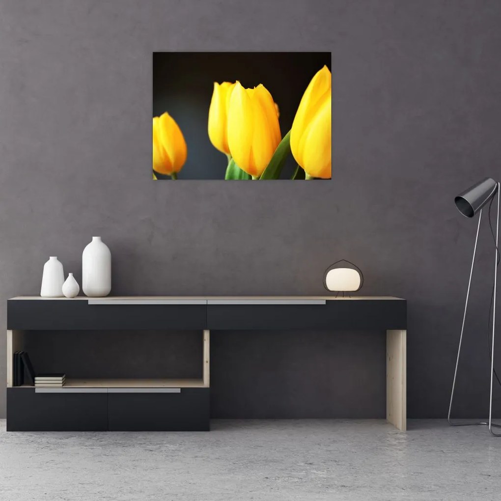 Obraz tulipanów (70x50 cm)