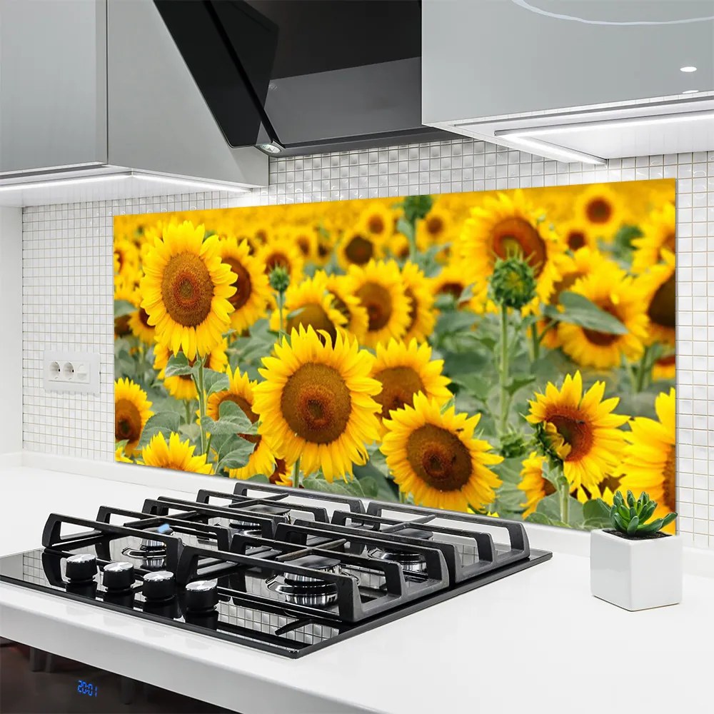 Panel Szklany Złociste Słoneczniki