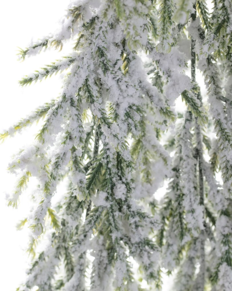 Gałązka White Pine 66cm