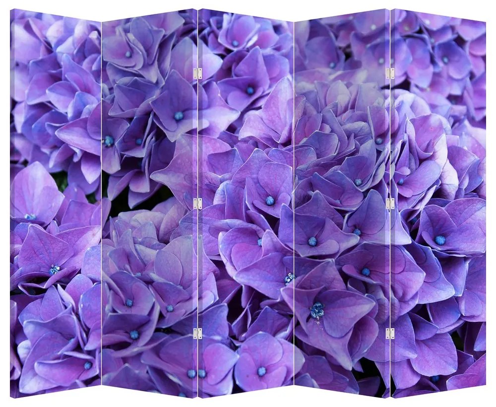 Parawan - Fioletowy kwiat (210x170 cm)