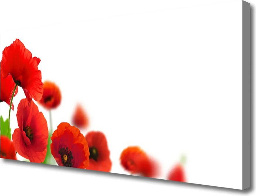 Zdjęcie na płótnie Czerwone Maki w Słońcu