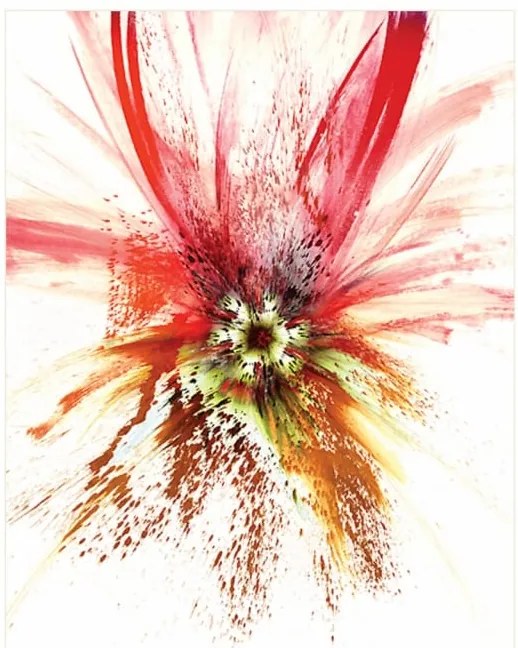 Obraz na płótnie Kwiat, Seria Czerwona