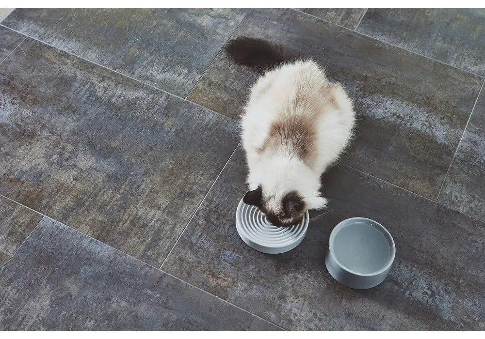 Porcelanowa miska dla kotów ø 14 cm Fresco Concrete S – MiaCara