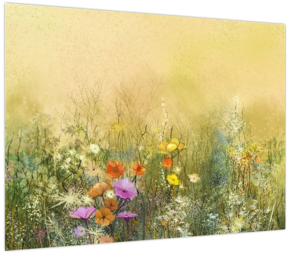 Obraz - Malowana łąka (70x50 cm)