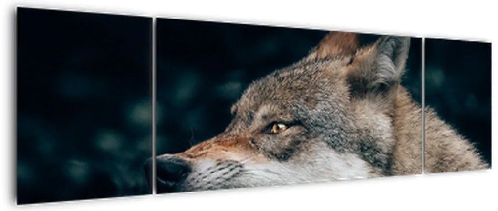 Obraz wilka (170x50 cm)