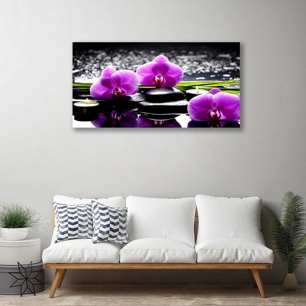 Obraz drukowany na płótnie Egzotyczny Kwiat Orchidei