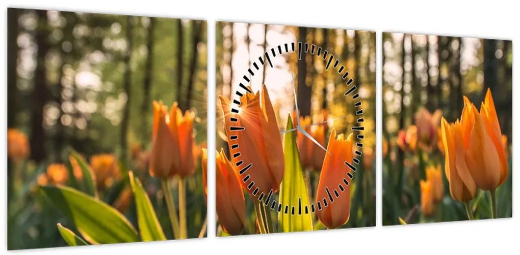 Obraz - kwiaty tulipanów (z zegarem) (90x30 cm)