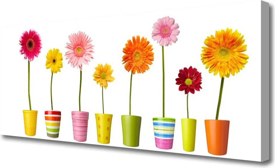 Obraz na płótnie Delikatność Kwiatów Ogrodowych