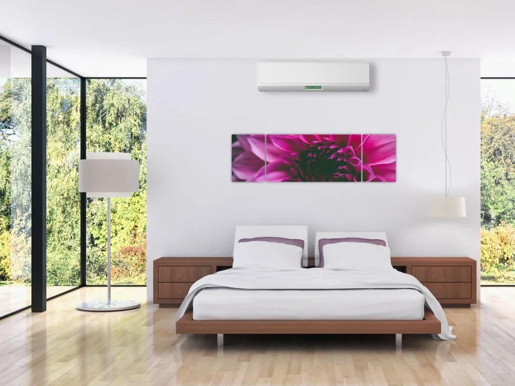 Obraz różowego kwiatu róży (170x50 cm)